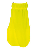 Signal Yellow